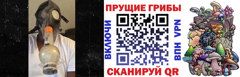 Галлюциногенные грибы Cubensis  даркнет телеграм  Гатчина 