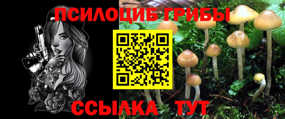 Псилоцибиновые грибы MAGIC MUSHROOMS  Галлюциногенные грибы MAGIC MUSHROOMS  Гатчина  Вход с VPN 
